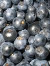 Blaubeeren